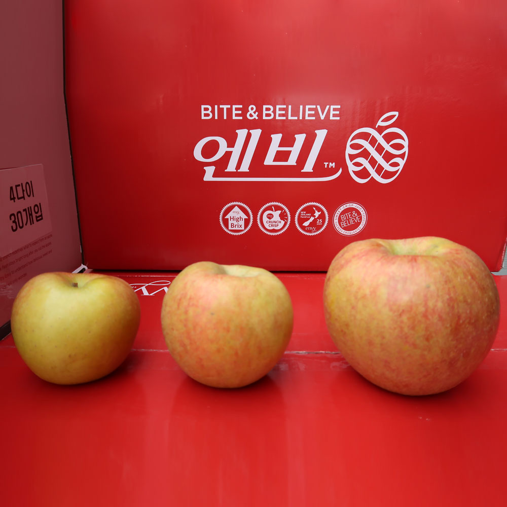 못난이 흠집 엔비사과 1/2/3/5/10kg (랜덤과)