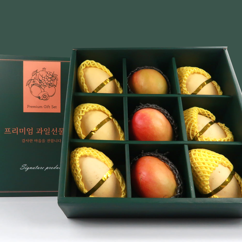 프리미엄 골드망고 3입 & 애플망고 6입 선물세트 3.4kg이상 