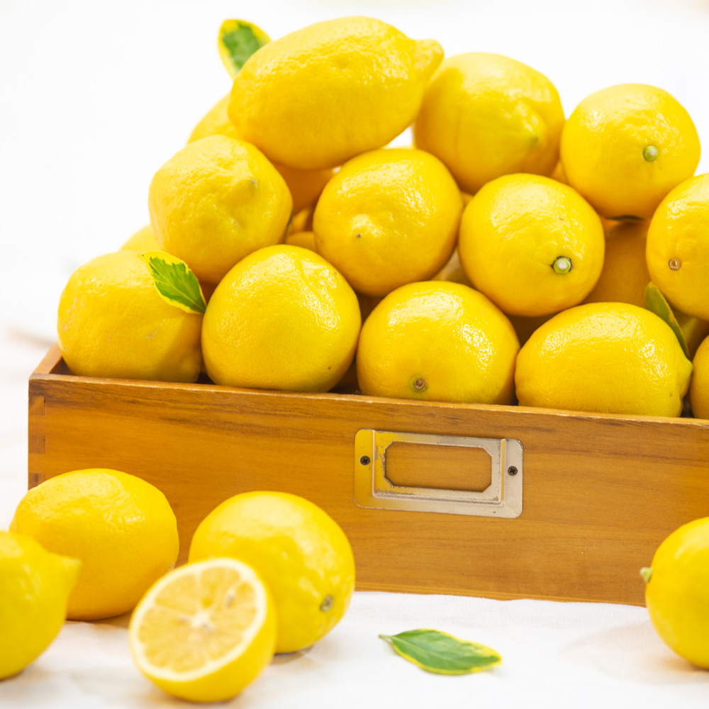 썬키스트 팬시 미국 레몬 5/10/20/30/60/140입(중과120g내외 140과)