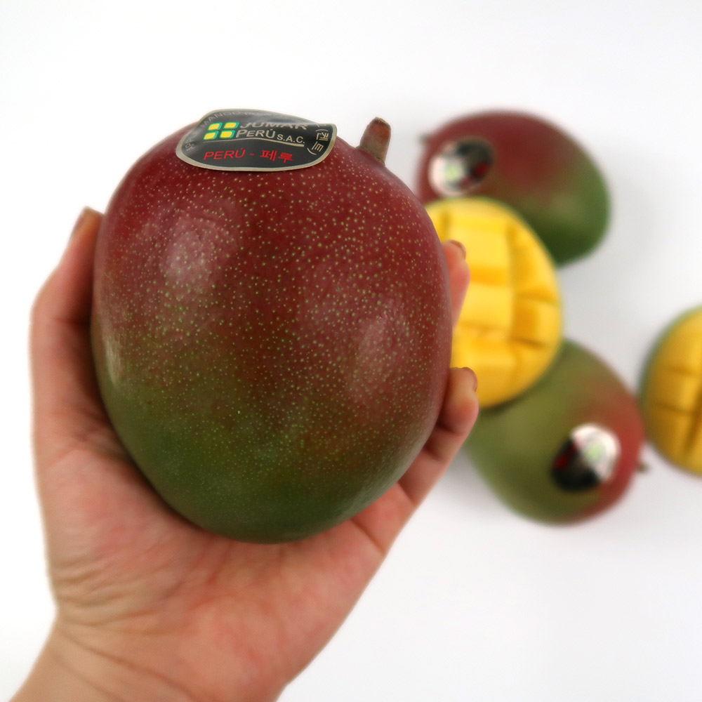 페루 애플망고 중과 3입/5-6입/10-12입