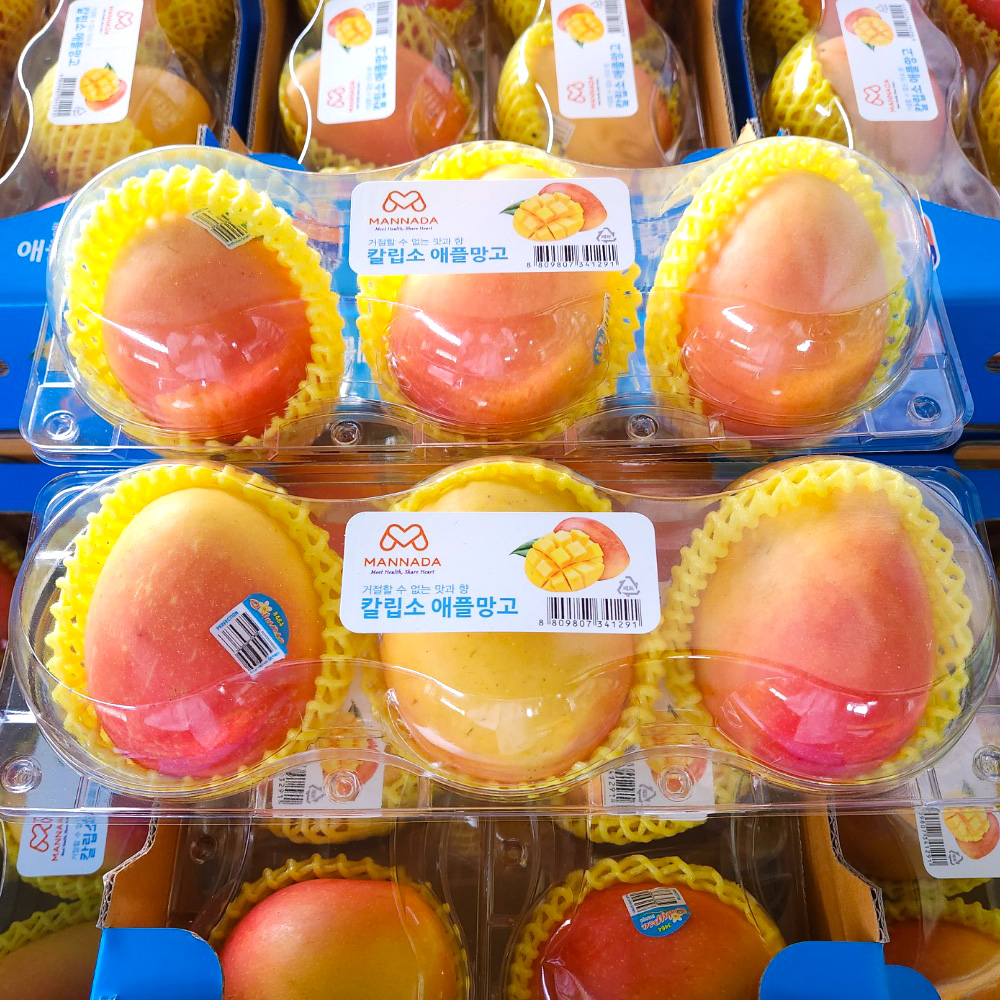 과일의 여왕 호주 칼립소 애플망고 3입팩(1.2kg내외)/6입팩(2.4kg내외) 