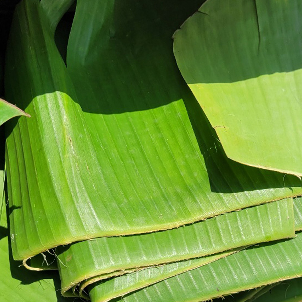 수입채소 - 베트남 바나나잎 1kg/3kg/5kg/10kg 