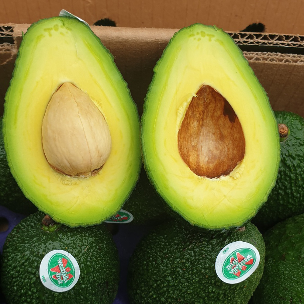 아보카도 생과