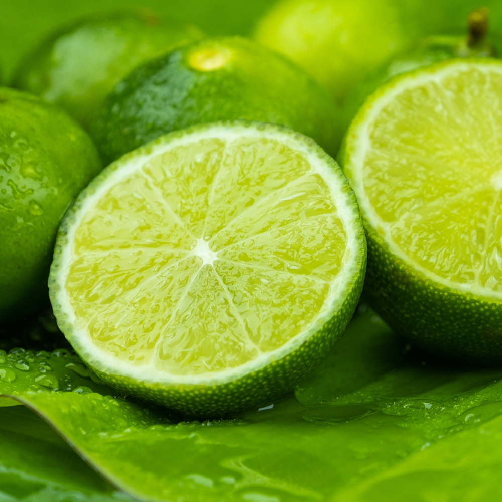 팬시 생 라임 (과수랜덤)