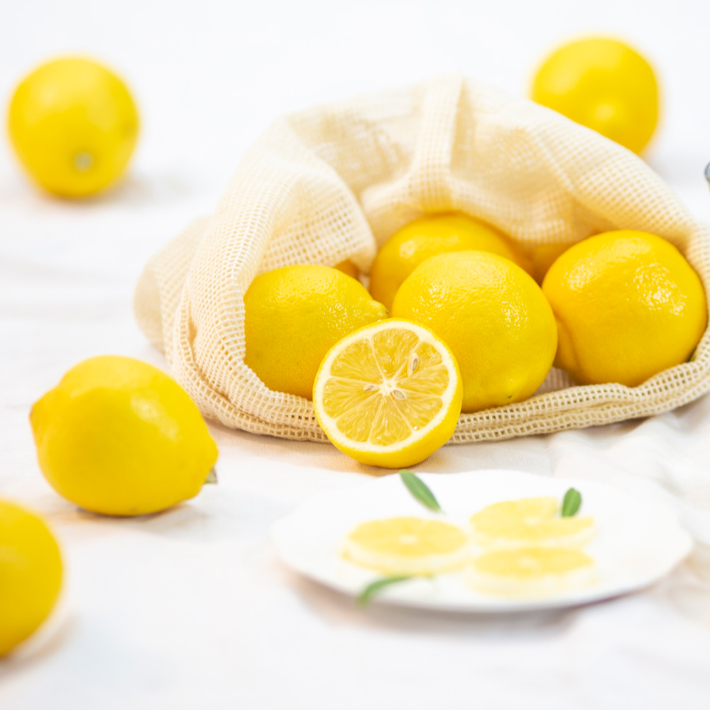 미국 팬시 레몬 중과