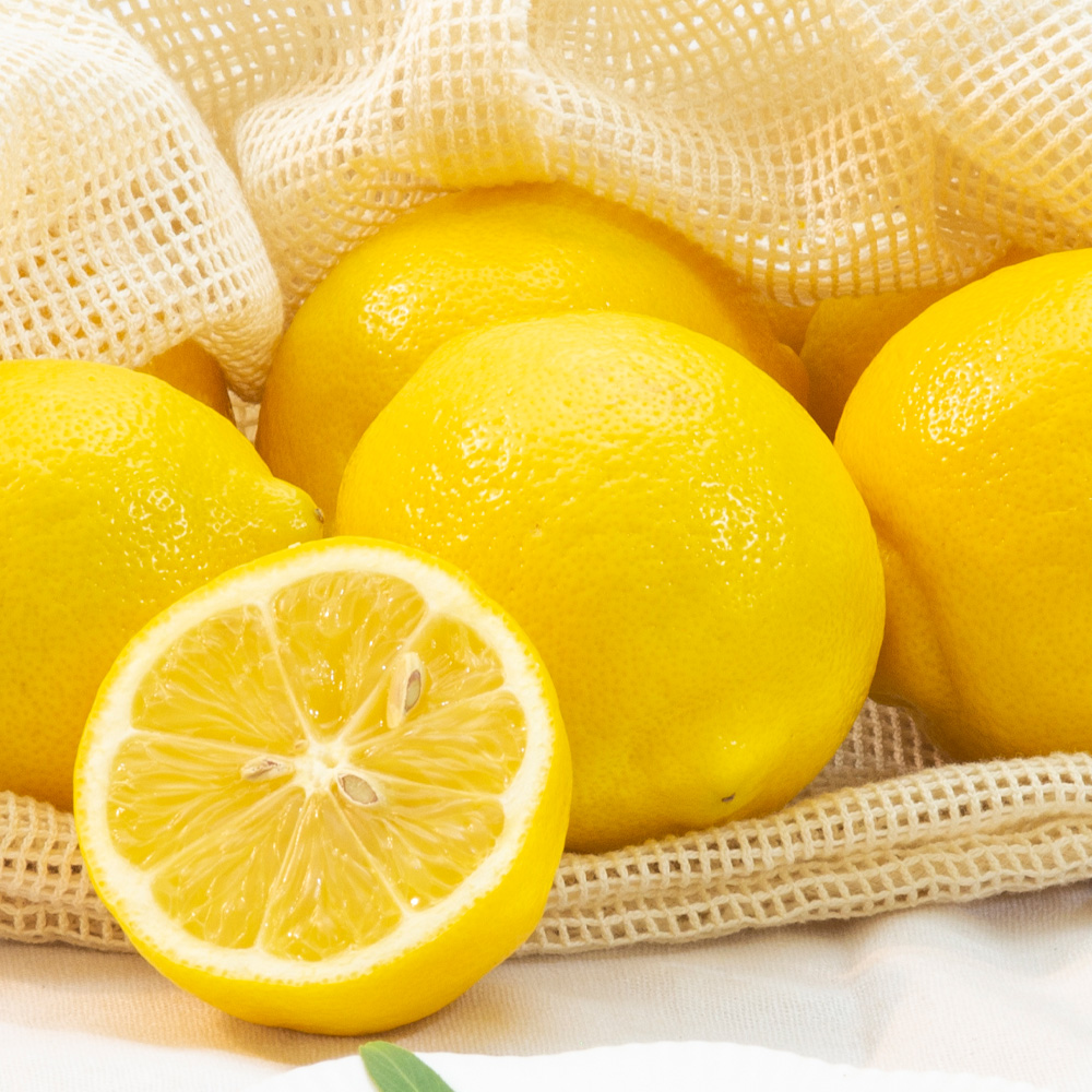 미국 팬시 레몬 대과