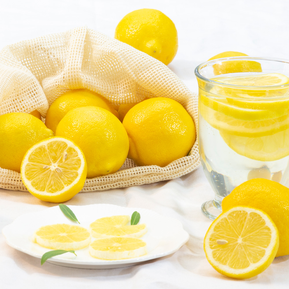 팬시 레몬 소과