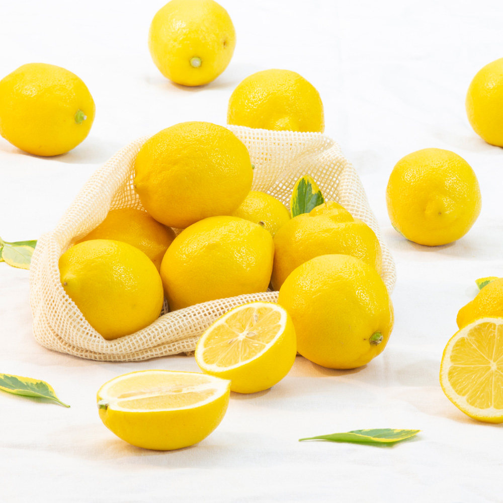 미국 팬시 레몬 소과