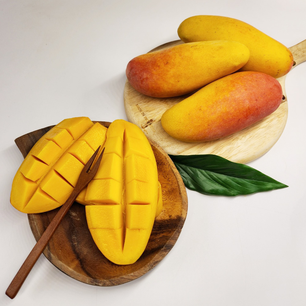 태국 고당도 무지개망고 마하차녹 대과