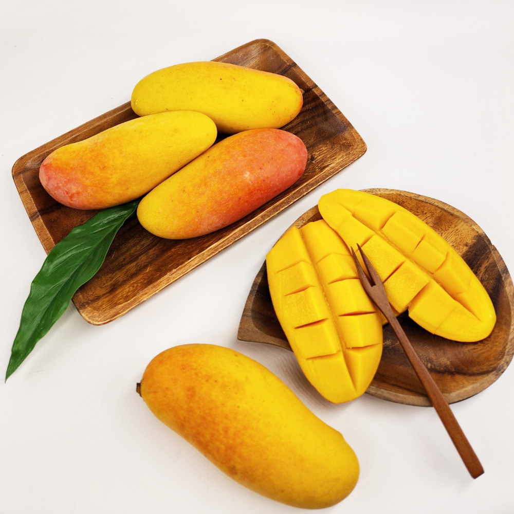 태국 고당도 무지개망고 마하차녹 특대과