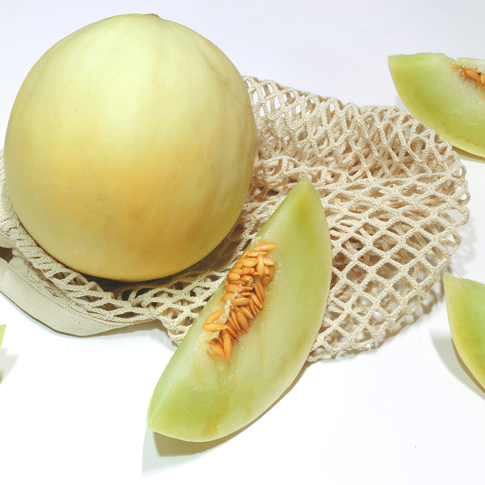 고당도 허니듀 멜론 특대과