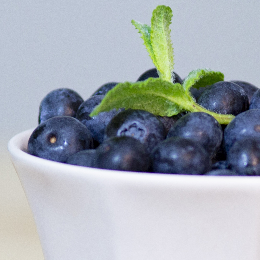 고당도 생 블루베리 특대과 18-20mm