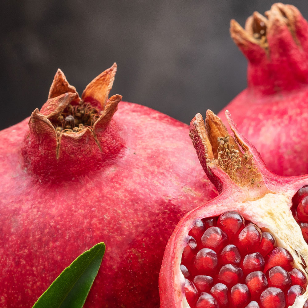 팬시 생 석류 대과