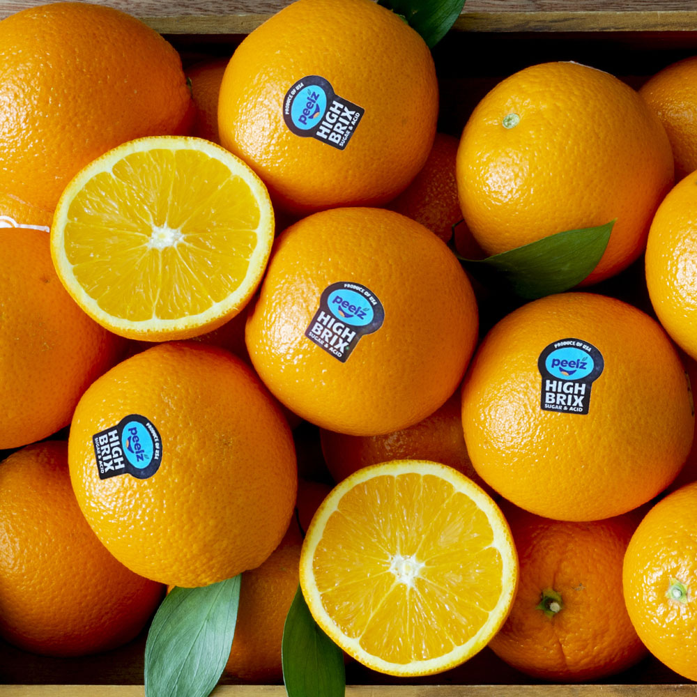 블랙라벨 고당도 오렌지 점보과