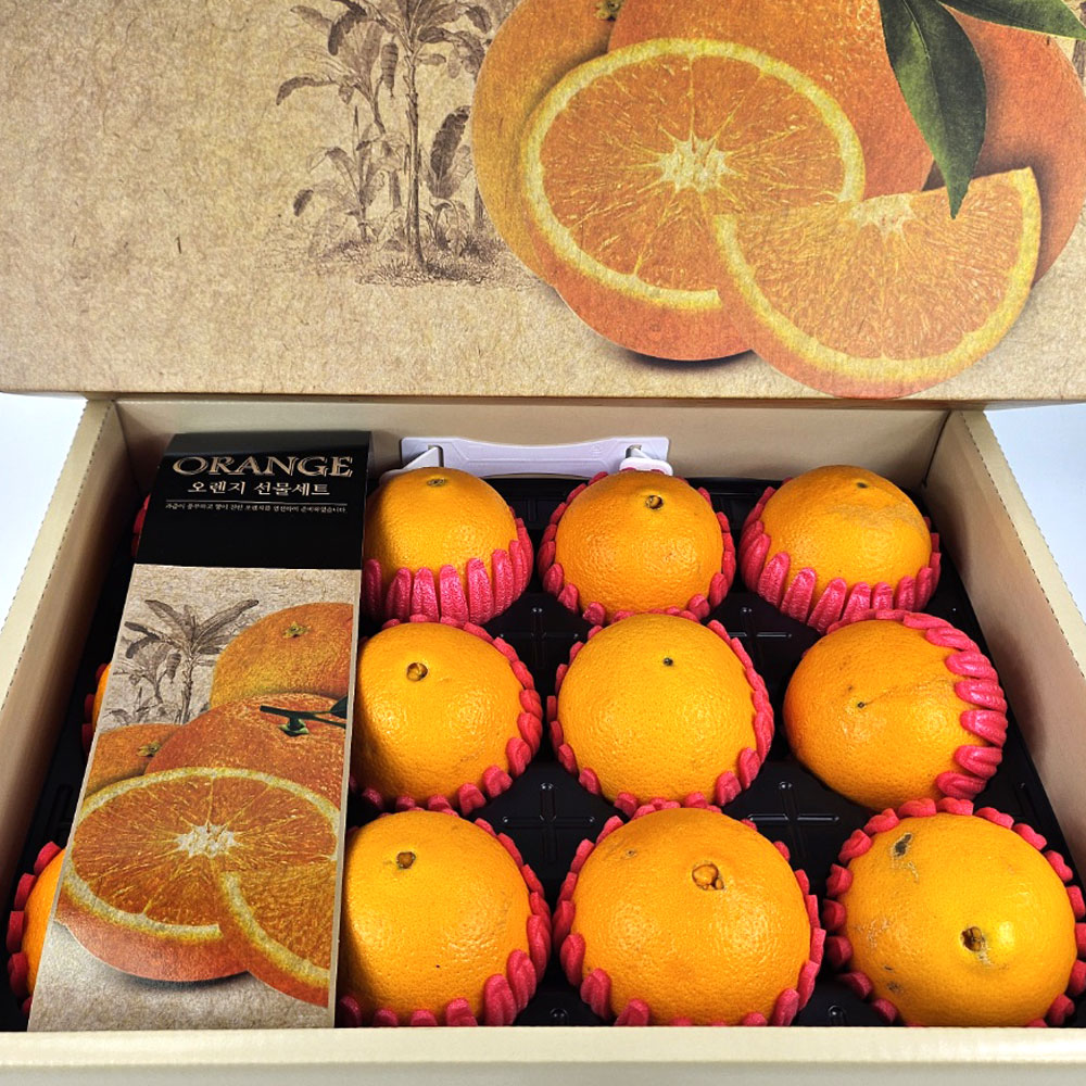 선물세트 네이블 오렌지 특대과