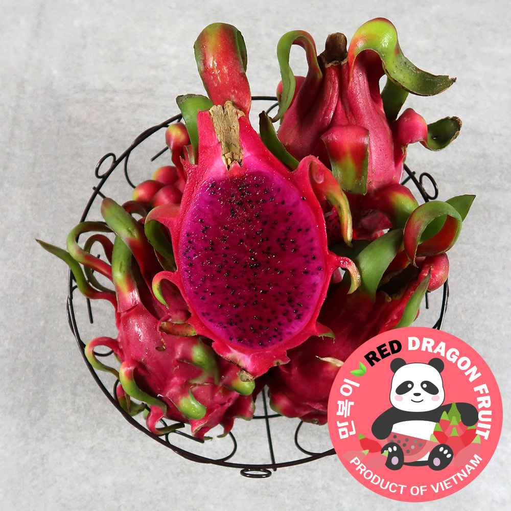 적용과 레드용과