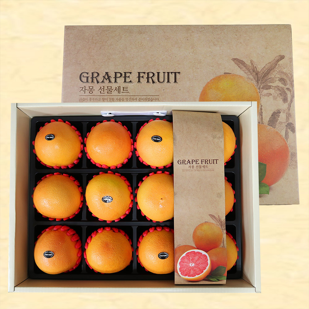 선물세트 레드자몽 특대과