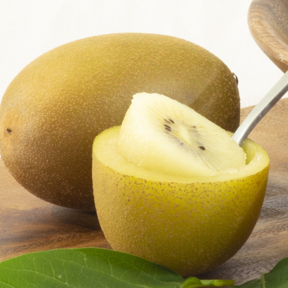 뉴질랜드 고당도 제스프리 썬 골드키위 중과