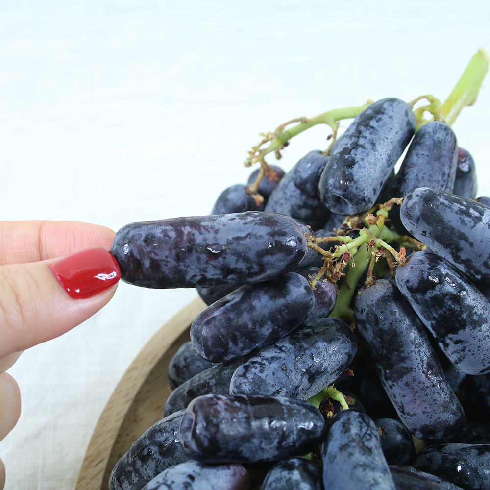 고당도 블랙사파이어 가지포도