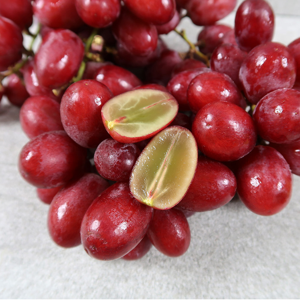 씨없는 고당도 적포도