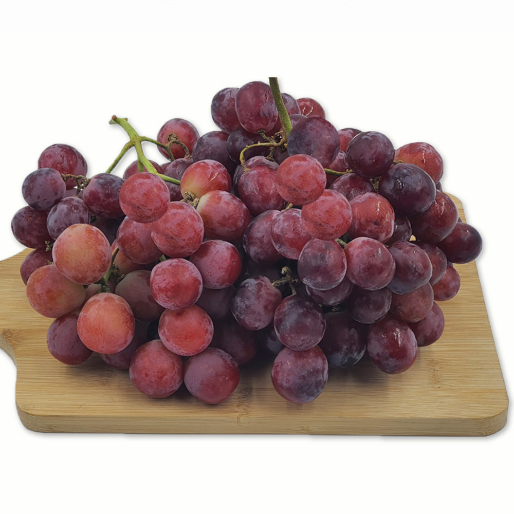 레드글로브 거봉 적포도